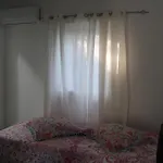 Campo Dias סילבס